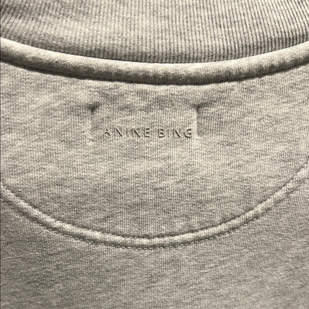 Anine Bing Sport Light Gray Sweatshirt - Picture 4 of 6
